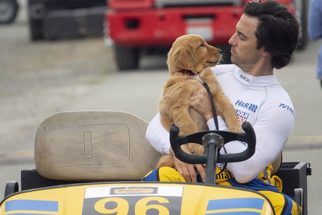 El arte de vivir bajo la lluvia : Foto Milo Ventimiglia